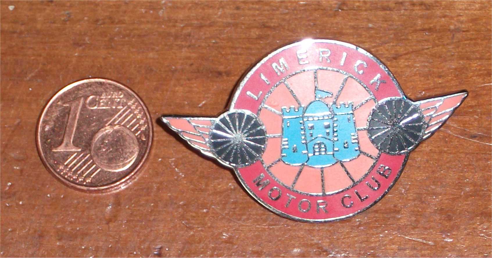 2010 Lapel badge
